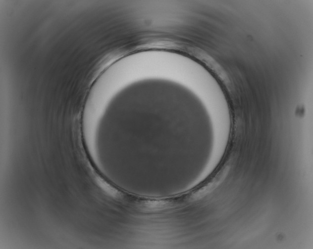 X0000101401425200808041030