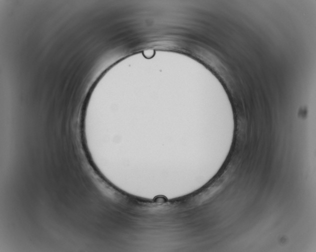 X0000101401426200808041030