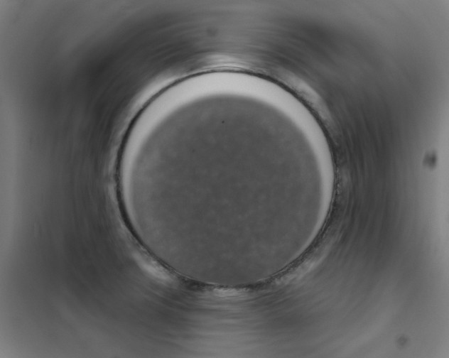 X0000101401427200808041030