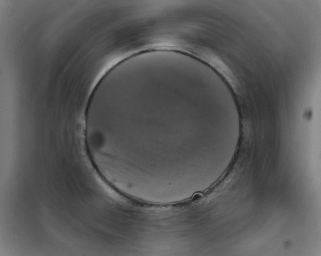 X0000101401428200808041030