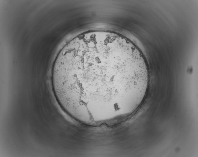 X0000101401429200808041030