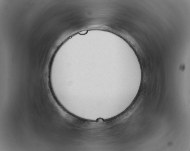 X0000101401430200808041030