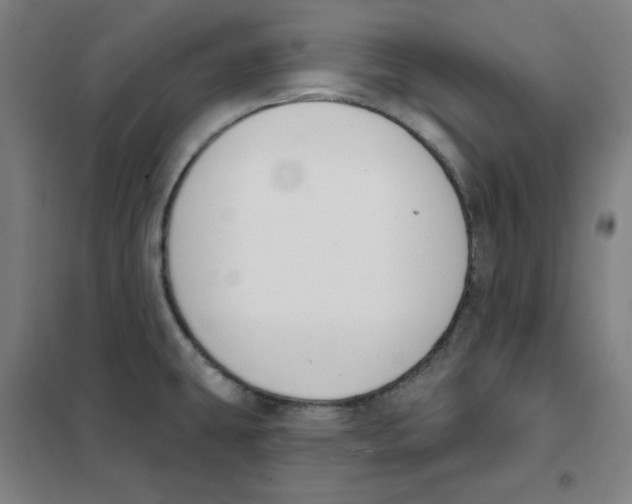 X0000101401431200808041030