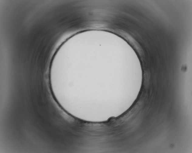 X0000101401432200808041030