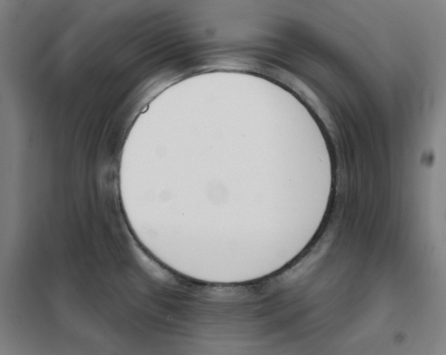 X0000101401433200808041030