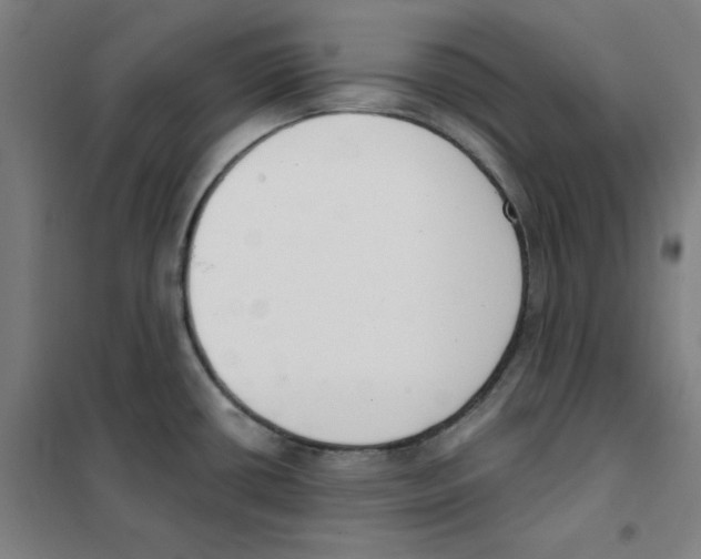 X0000101401434200808041030