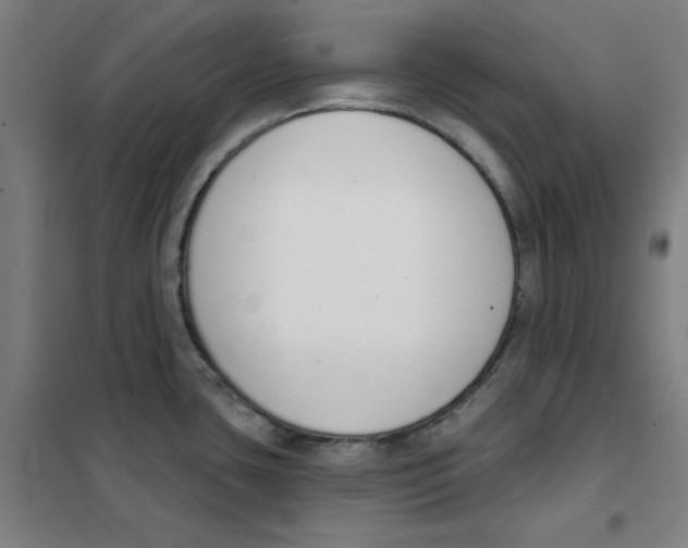 X0000101401435200808041030