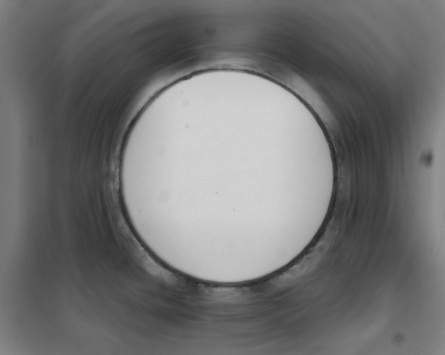 X0000101401436200808041030