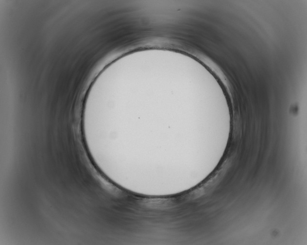 X0000101401437200808041031