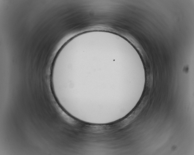 X0000101401438200808041031