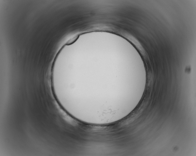 X0000101401439200808041031