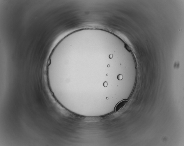 X0000101401440200808041031