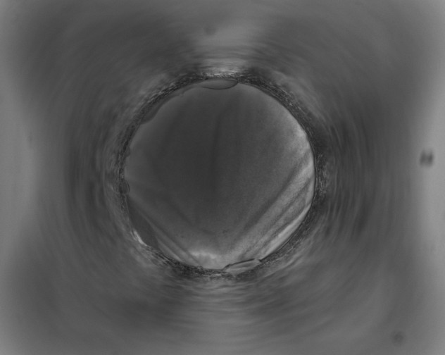 X0000101401441200808041030