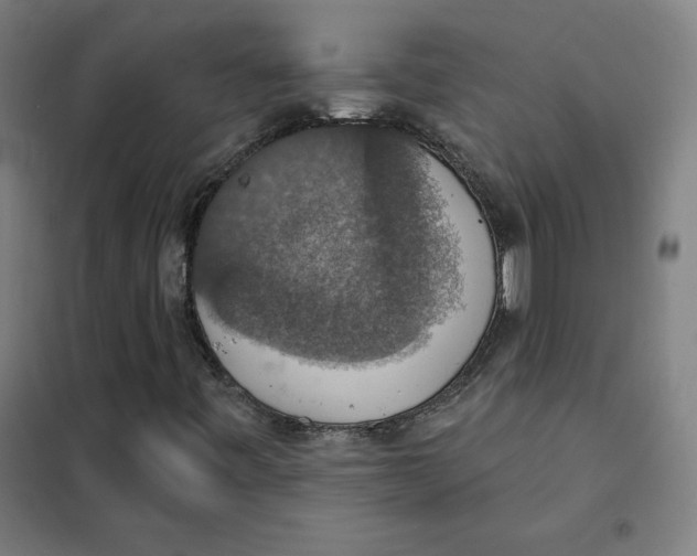 X0000101401443200808041030