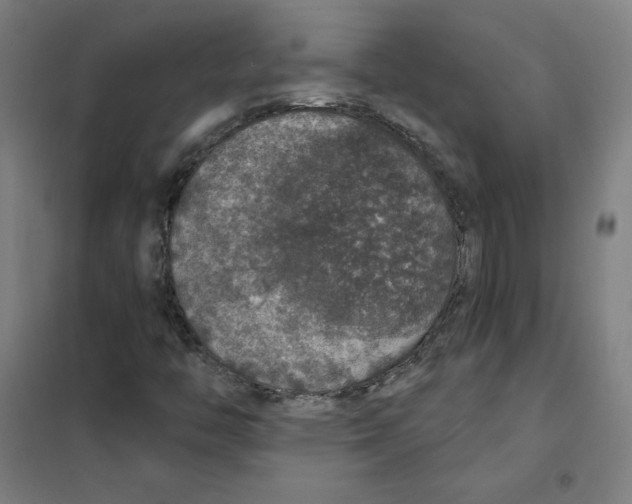 X0000101401446200808041030