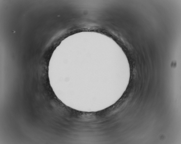 X0000101401447200808041030