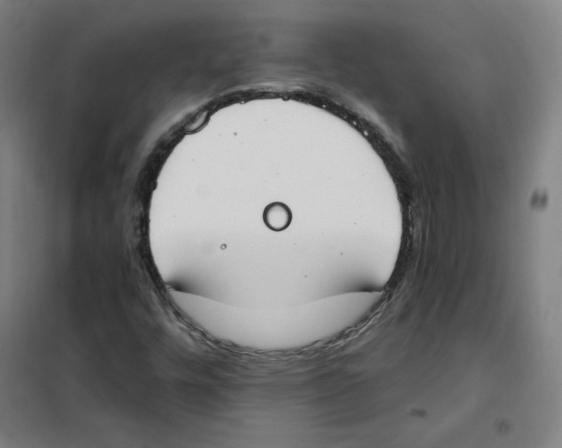 X0000101401448200808041030