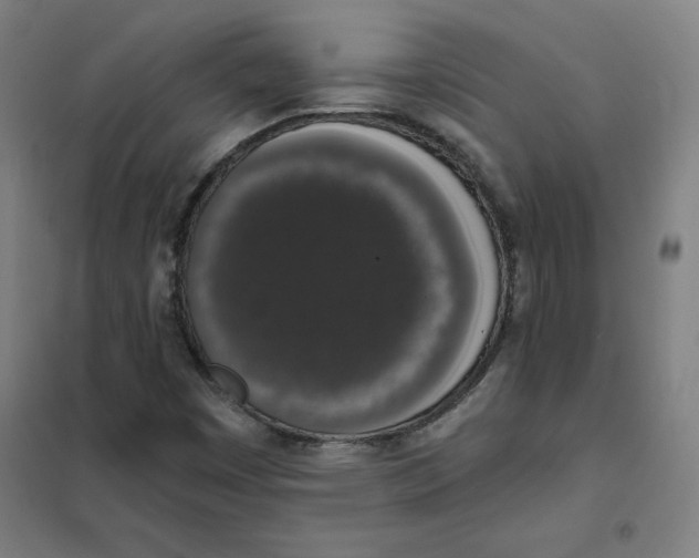 X0000101401449200808041030