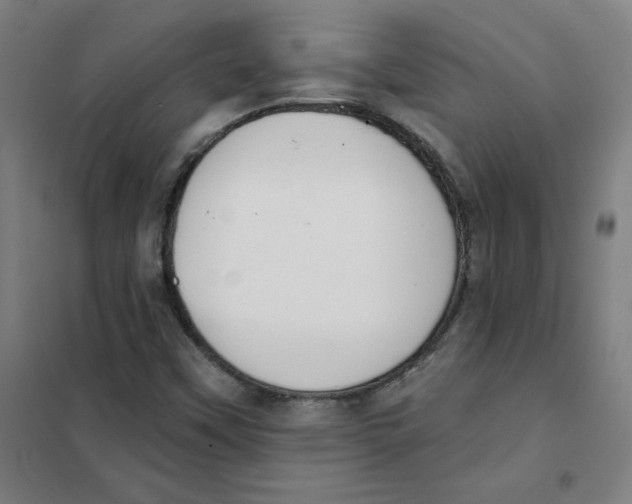 X0000101401451200808041030