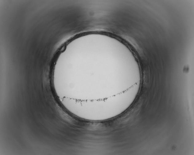 X0000101401452200808041030