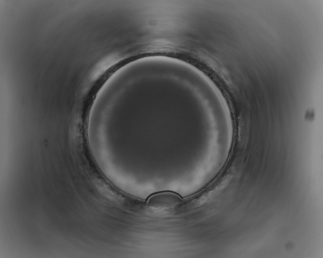 X0000101401453200808041030