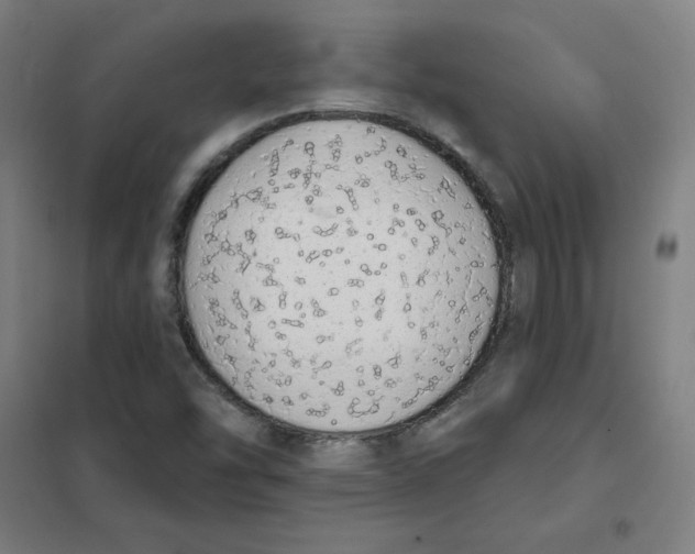 X0000101401454200808041030