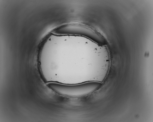 X0000101401456200808041030