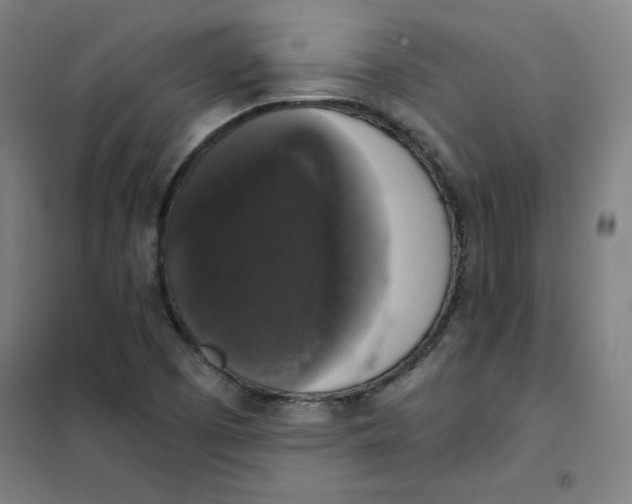 X0000101401457200808041029