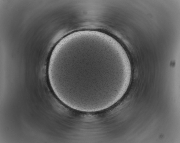 X0000101401459200808041029