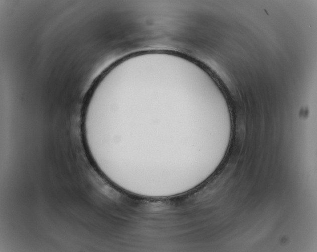 X0000101401460200808041029