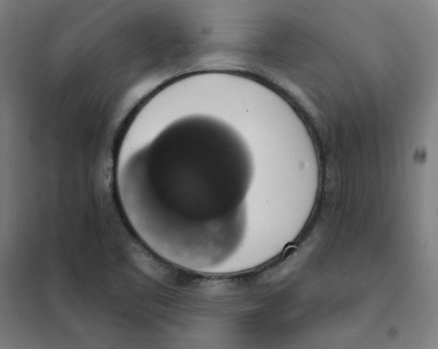 X0000101401461200808041029