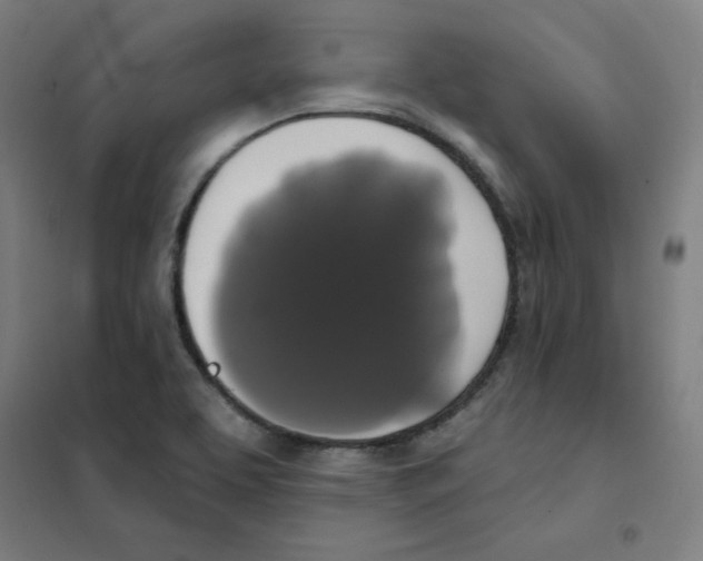 X0000101401463200808041029