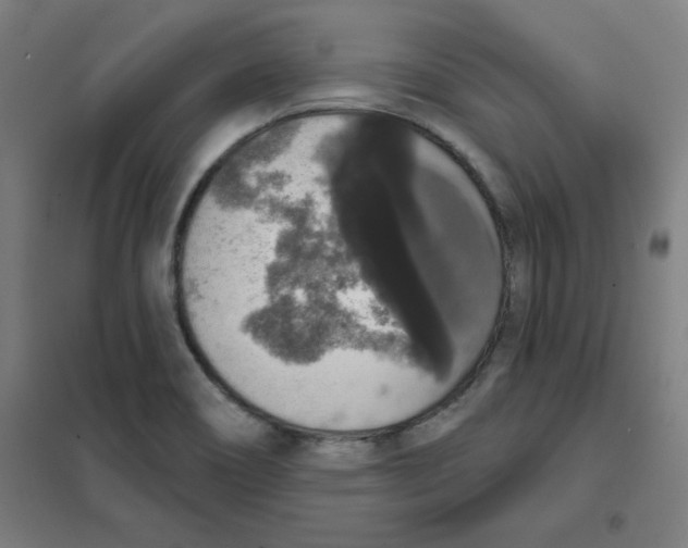 X0000101401466200808041029