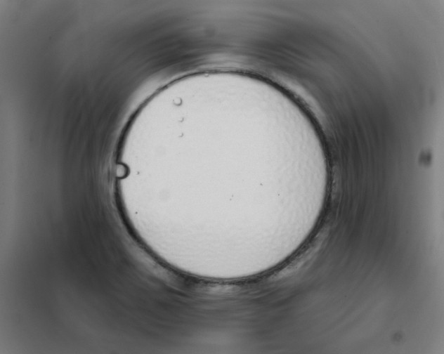 X0000101401467200808041029