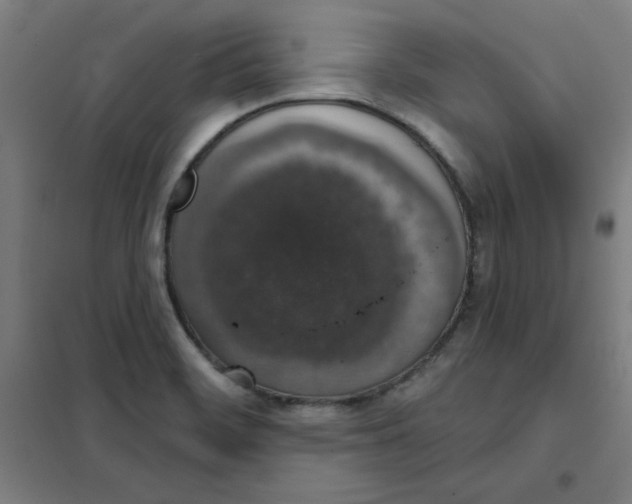 X0000101401468200808041029