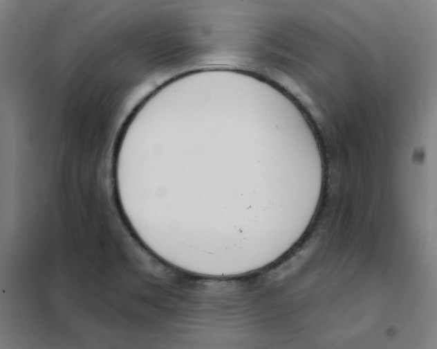 X0000101401469200808041029