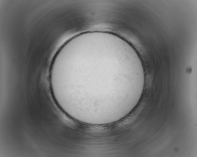 X0000101401470200808041029