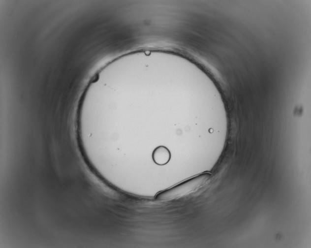 X0000101401471200808041029