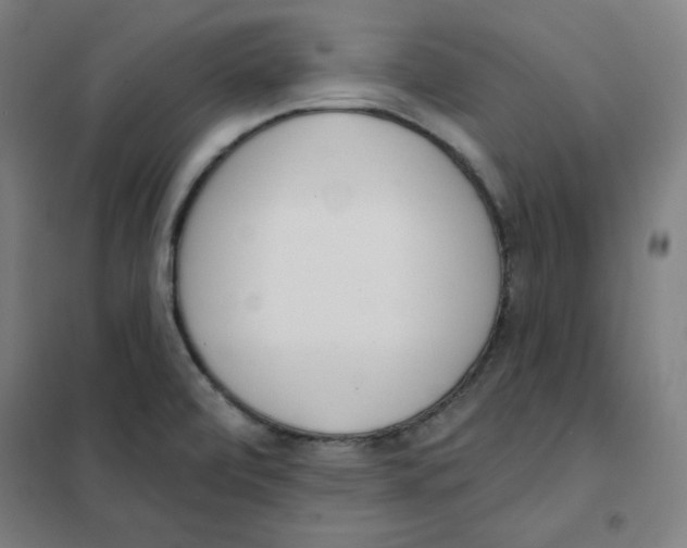 X0000101401472200808041029