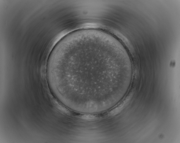 X0000101401473200808041029