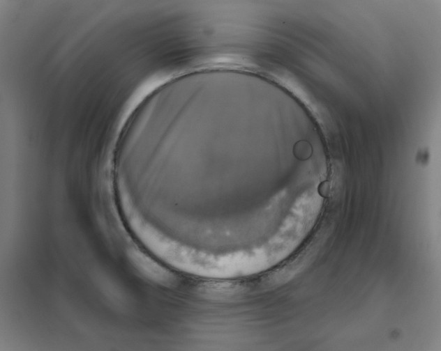 X0000101401474200808041029