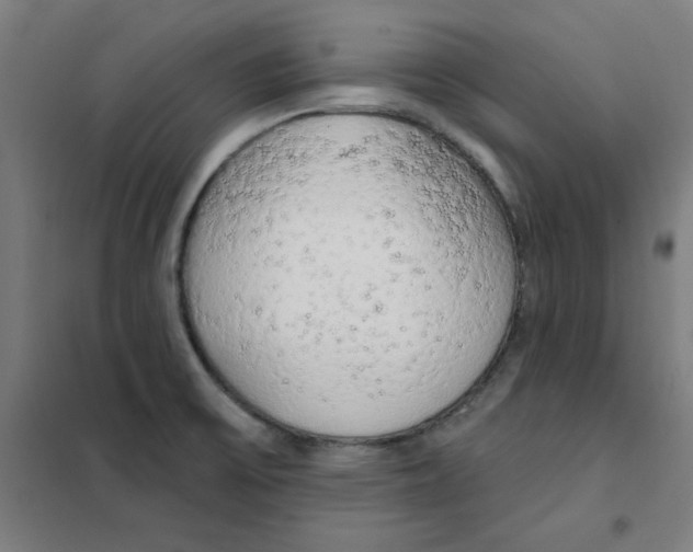 X0000101401475200808041029