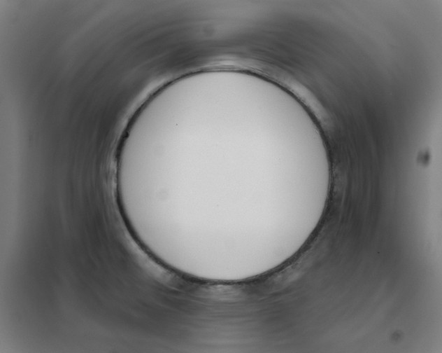 X0000101401476200808041029