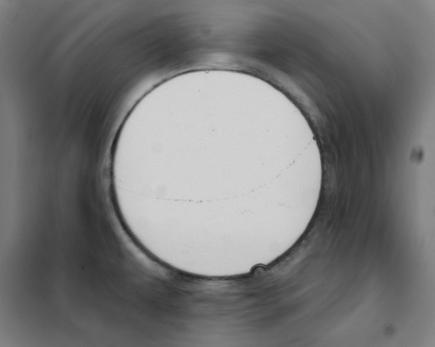 X0000101401479200808041029