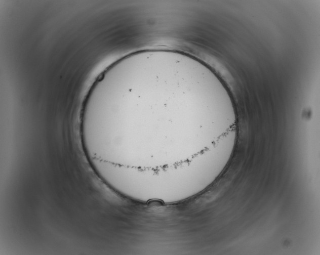 X0000101401480200808041029