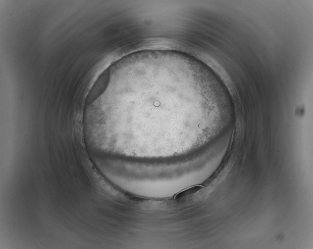 X0000101401481200808041029