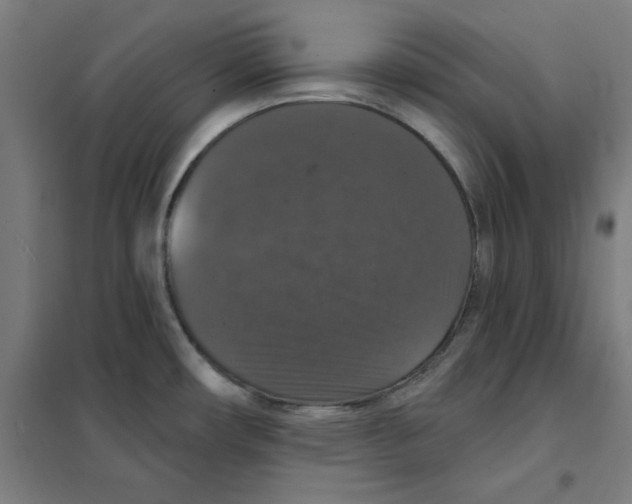 X0000101401482200808041029