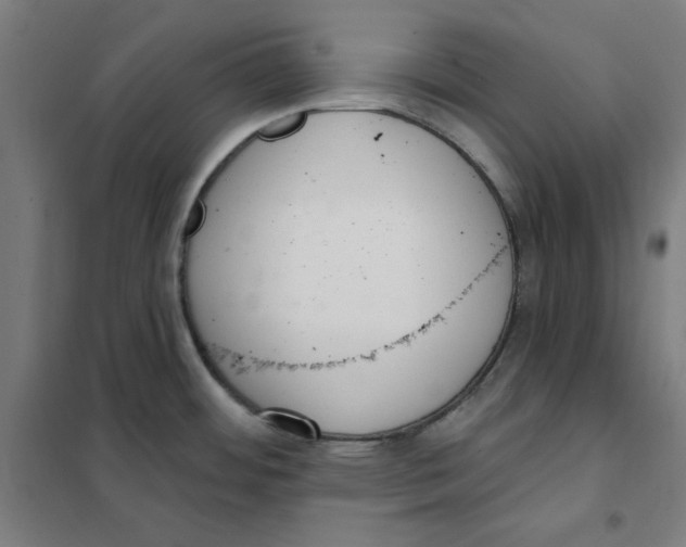 X0000101401484200808041029