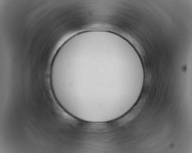 X0000101401486200808041029