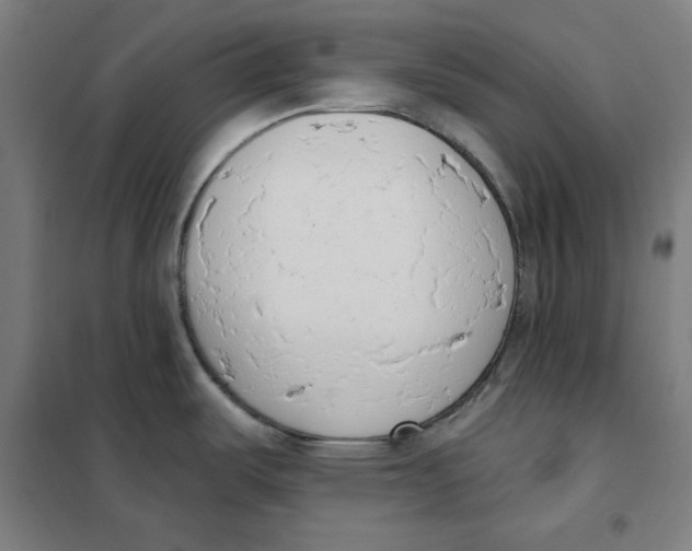 X0000101401487200808041029